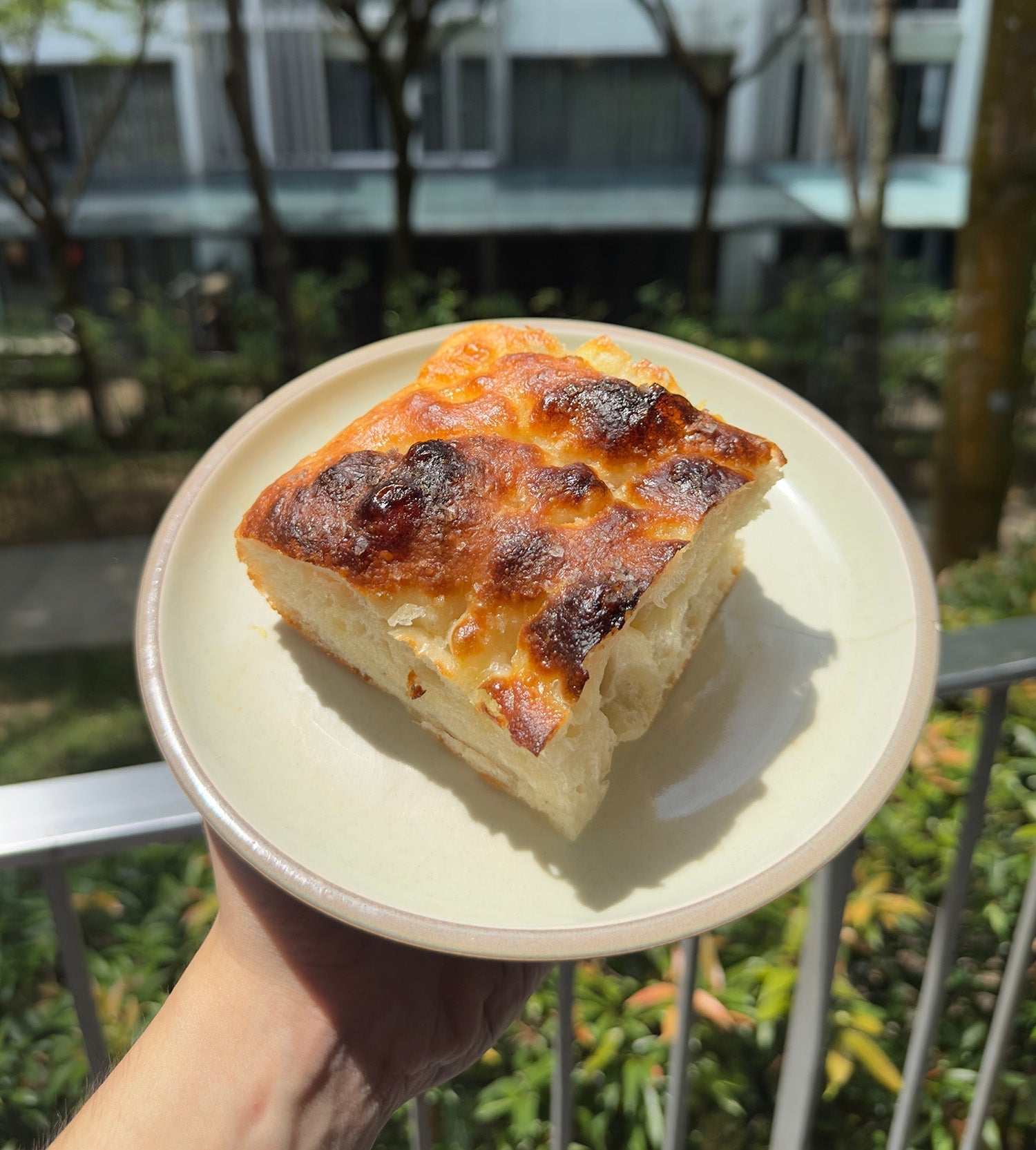 Basic Foccacia